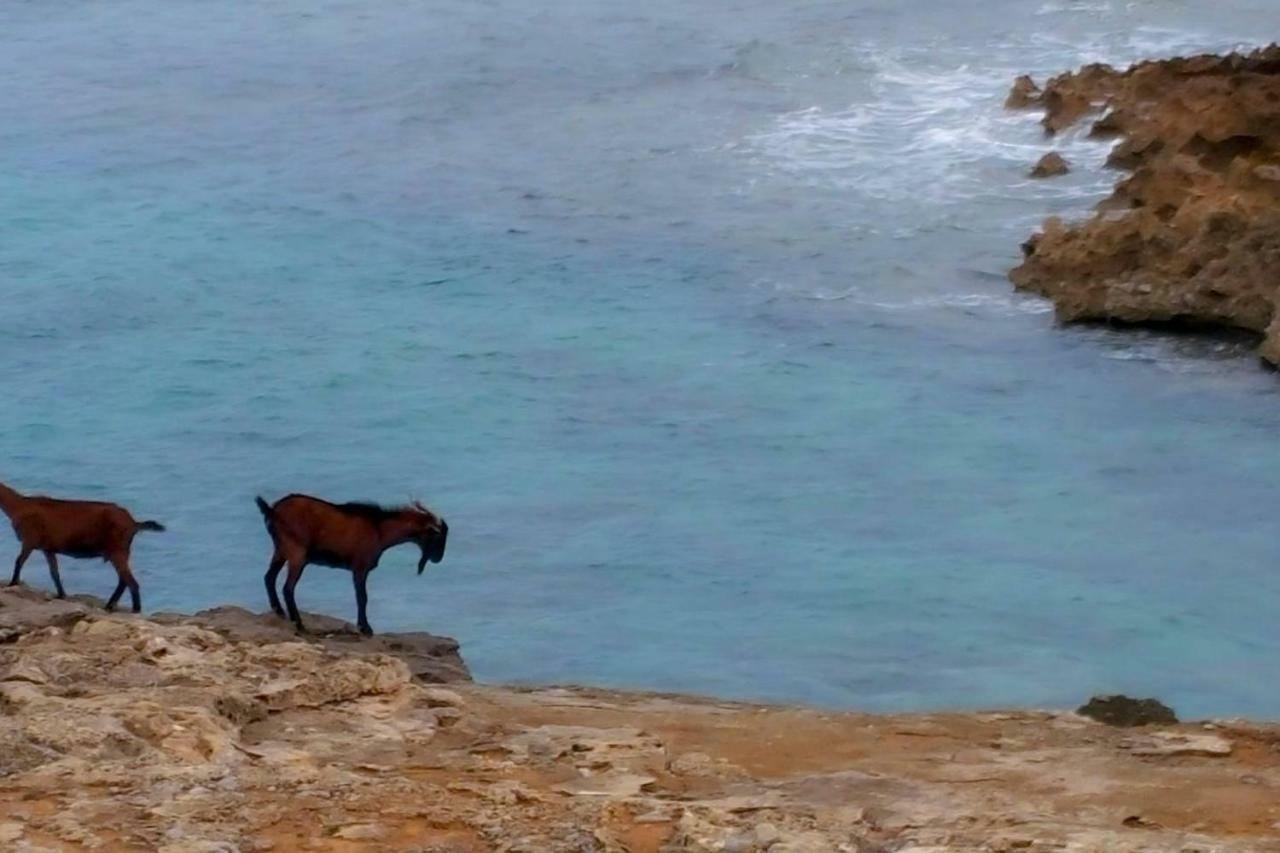 Es Fasser * Alcudia (Mallorca)